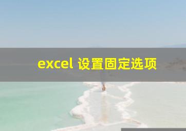 excel 设置固定选项